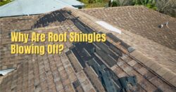Blown off Shingles